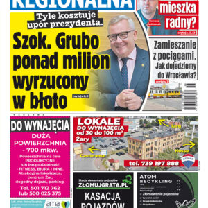 Nowa Sól-Zielona Góra Tygodnik Regionalna nr 789 z dnia 2023.11.17