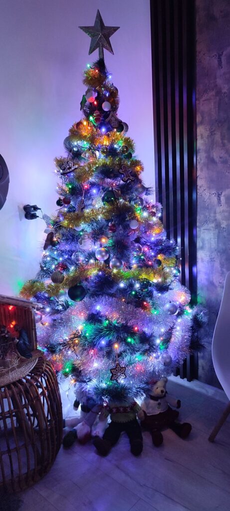 Justyna Kmiecik Zatylna