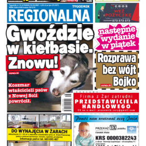 Nowa Sól-Zielona Góra Tygodnik Regionalna nr 655 z dnia 2021.04.24